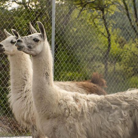 Mentor Resort Gaytaninovo エクステリア 写真